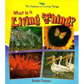 968779.jpg 968779.jpg