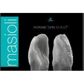 971429.jpg 971429.jpg