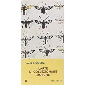 966238.jpg 966238.jpg