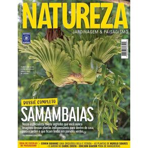 972306.jpg 972306.jpg