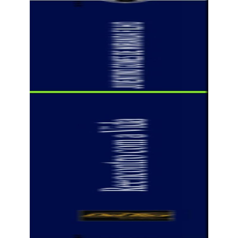 975767_2.jpg