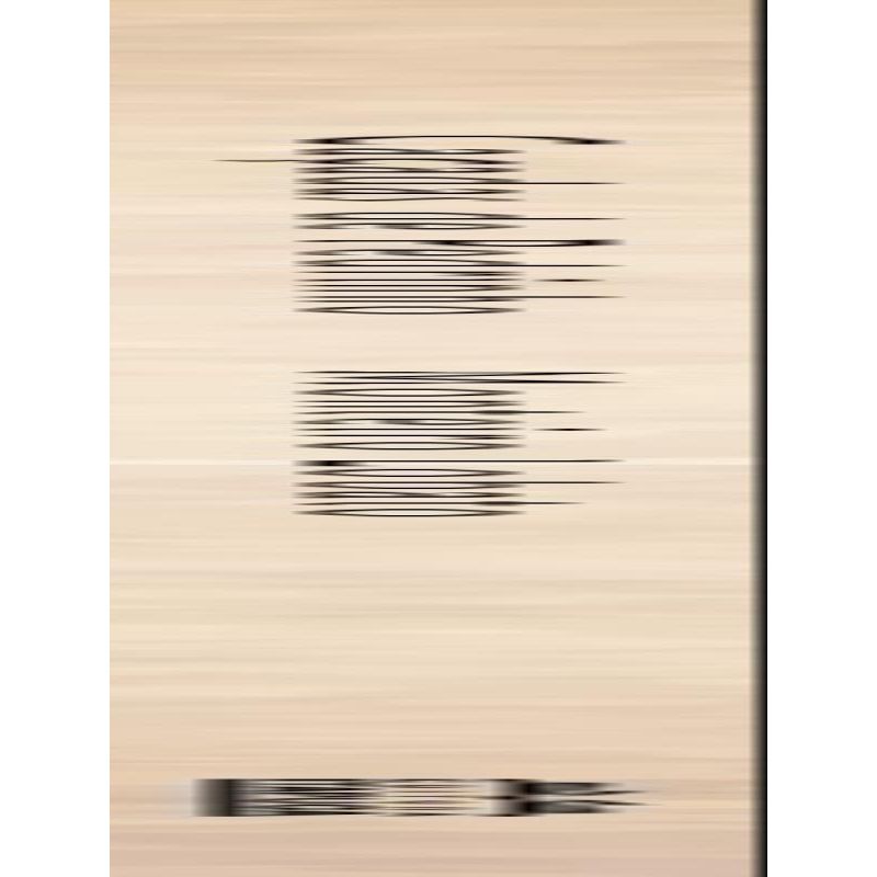 979092_2.jpg