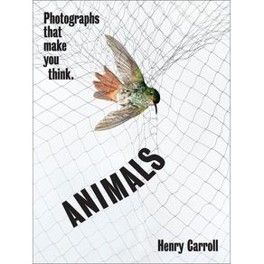 980586.jpg 980586.jpg