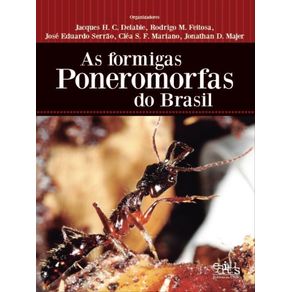 980171.jpg 980171.jpg