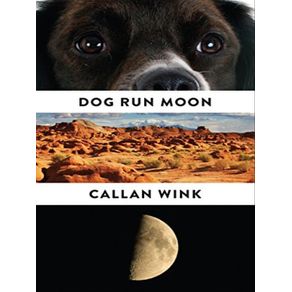 980751.jpg 980751.jpg