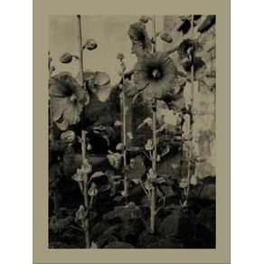 981146.jpg 981146.jpg