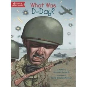 981626.jpg 981626.jpg