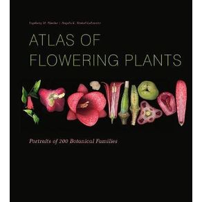 985586.jpg 985586.jpg