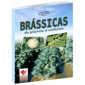 986131.jpg 986131.jpg