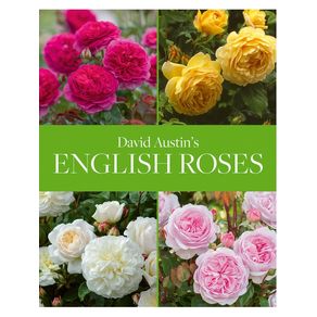 986305.jpg 986305.jpg