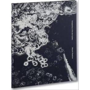 987019.jpg 987019.jpg