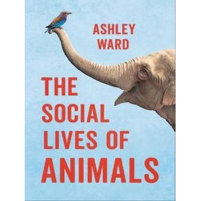 988691.jpg 988691.jpg