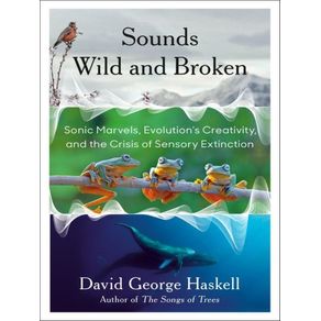 991631.jpg 991631.jpg