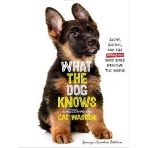 995933.jpg 995933.jpg