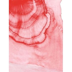 998605.jpg 998605.jpg