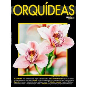 999862.jpg 999862.jpg