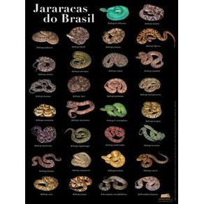 999881.jpg 999881.jpg