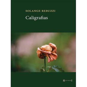 1000986.jpg 1000986.jpg