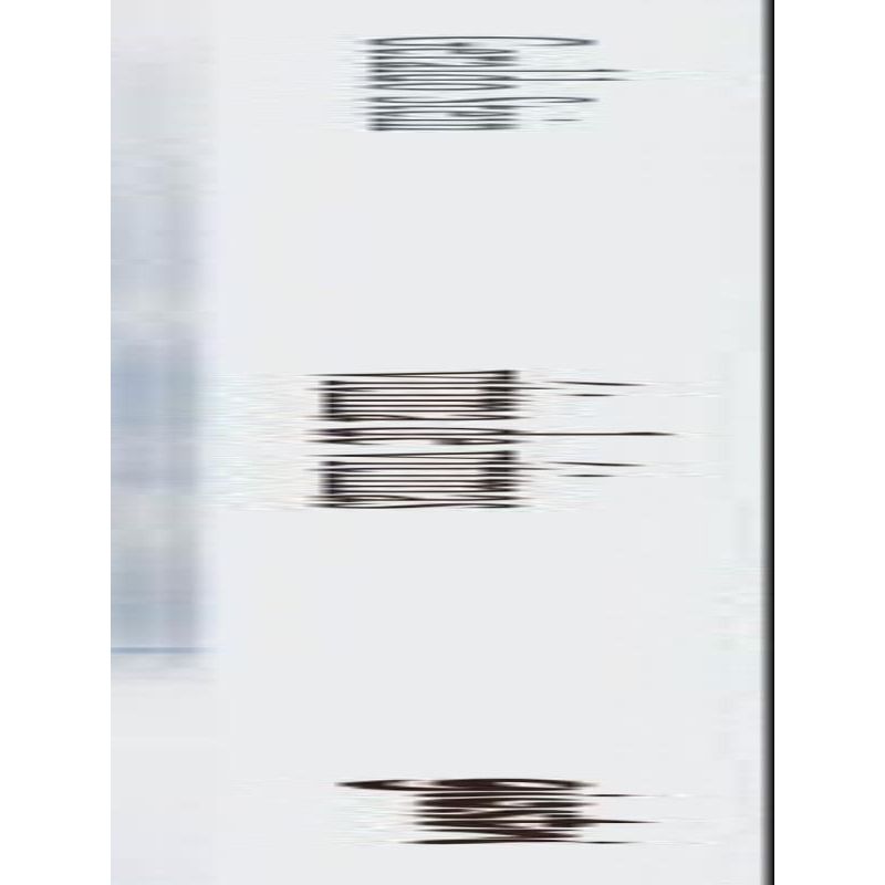 1002959_2.jpg