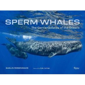 1004477.jpg 1004477.jpg