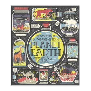 1007241.jpg 1007241.jpg