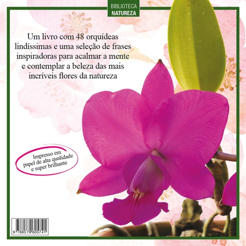 WALL OF ORCHIDS / LIFE MUST GO ON オリジナル版 ORSKOV（オルスコフ）Magazine Holder マガジンホルダー | LIVING