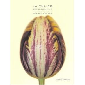 1009793.jpg 1009793.jpg