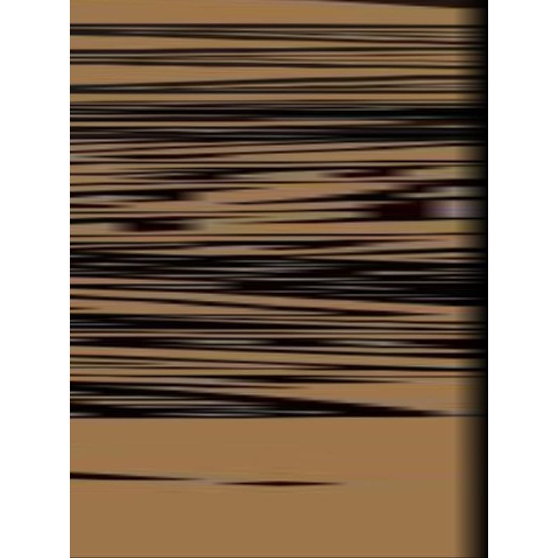 1013705_2.jpg