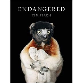 1028305.jpg 1028305.jpg