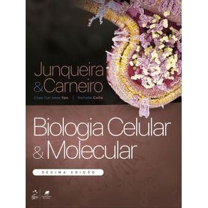 1032881.jpg 1032881.jpg