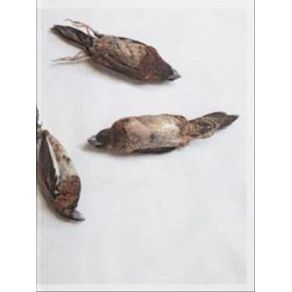 1034255.jpg 1034255.jpg