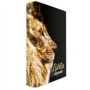 1041558.jpg 1041558.jpg