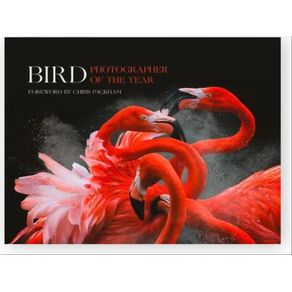 1051703.jpg 1051703.jpg