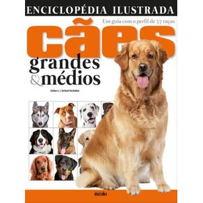 846545.jpg 846545.jpg