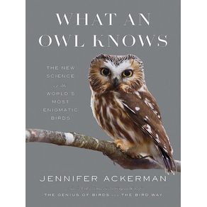 1058098.jpg 1058098.jpg