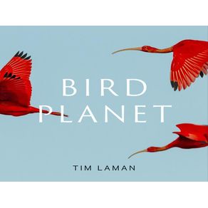 1062963.jpg 1062963.jpg