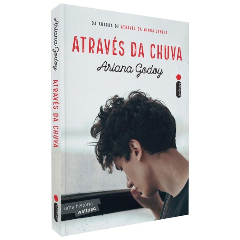 Livro - Através da Minha Janela: Os irmãos Hidalgo Vol. 1 em