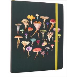 1064436.jpg 1064436.jpg