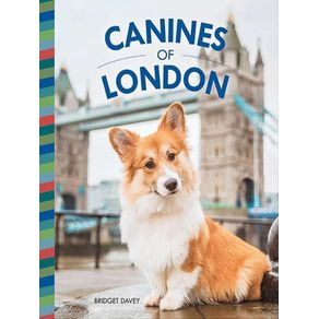 1064441.jpg 1064441.jpg