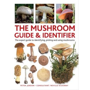 1065122.jpg 1065122.jpg