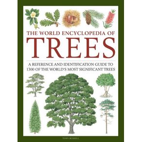 1065124.jpg 1065124.jpg