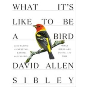 1065326.jpg 1065326.jpg