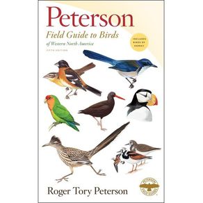 1065348.jpg 1065348.jpg