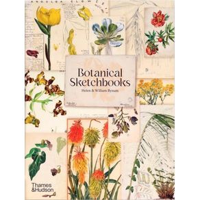 1068813.jpg 1068813.jpg