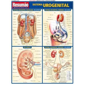 204424.jpg 204424.jpg