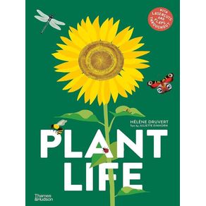 1072085.jpg 1072085.jpg