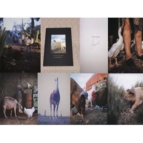 1072099.jpg 1072099.jpg