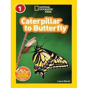 1072227.jpg 1072227.jpg