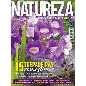 1078394.jpg 1078394.jpg