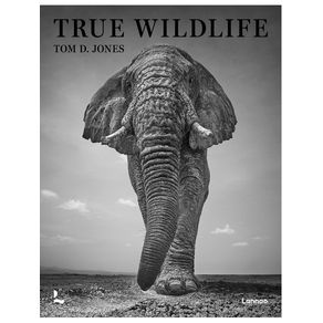 1078595.jpg 1078595.jpg